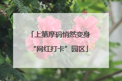 上第摩码悄然变身“网红打卡”园区