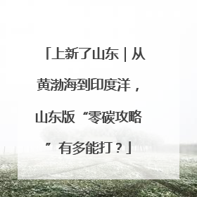 上新了山东｜从黄渤海到印度洋，山东版“零碳攻略”有多能打？