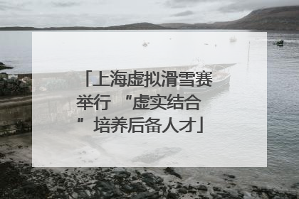 上海虚拟滑雪赛举行 “虚实结合”培养后备人才