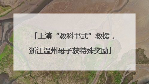 上演“教科书式”救援，浙江温州母子获特殊奖励