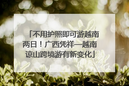 不用护照即可游越南两日！广西凭祥—越南谅山跨境游有新变化