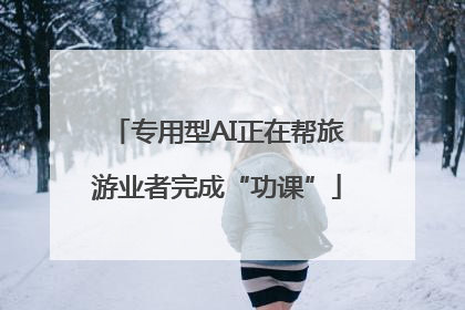 专用型AI正在帮旅游业者完成“功课”