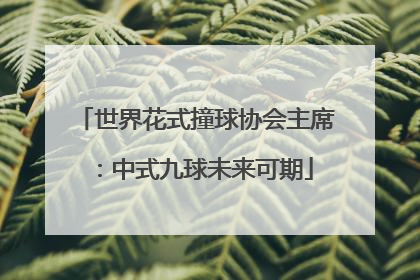 世界花式撞球协会主席：中式九球未来可期