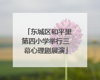 东城区和平里第四小学举行三幕心理剧展演