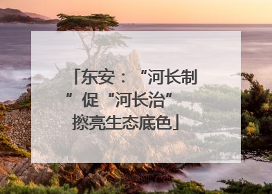 东安：“河长制”促“河长治” 擦亮生态底色