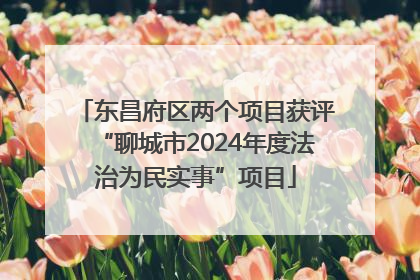 东昌府区两个项目获评“聊城市2024年度法治为民实事”项目