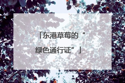 东港草莓的“绿色通行证”