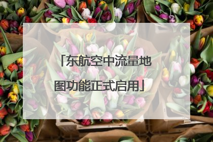 东航空中流量地图功能正式启用