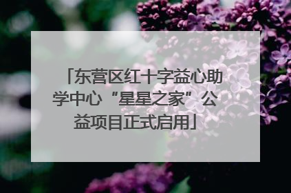 东营区红十字益心助学中心“星星之家”公益项目正式启用