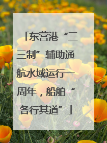 东营港“三三制”辅助通航水域运行一周年，船舶“各行其道”