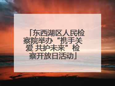 东西湖区人民检察院举办“携手关爱 共护未来”检察开放日活动