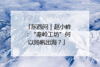 东西问｜赵小峰：“秦岭工坊”何以扬帆出海？