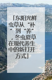 东阳光鲜虫草从“补”到“养”，冬虫夏草在现代养生中的新打开方式