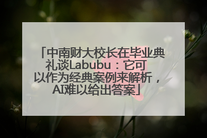 中南财大校长在毕业典礼谈Labubu：它可以作为经典案例来解析，AI难以给出答案