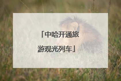 中哈开通旅游观光列车