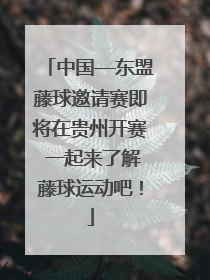 中国—东盟藤球邀请赛即将在贵州开赛 一起来了解藤球运动吧！