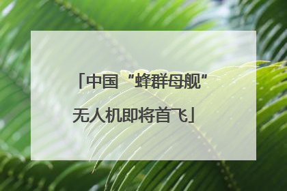 中国“蜂群母舰”无人机即将首飞