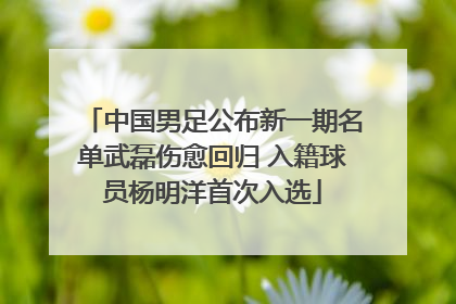 中国男足公布新一期名单武磊伤愈回归 入籍球员杨明洋首次入选