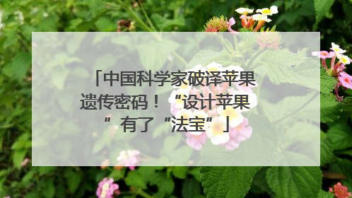 中国科学家破译苹果遗传密码！“设计苹果”有了“法宝”