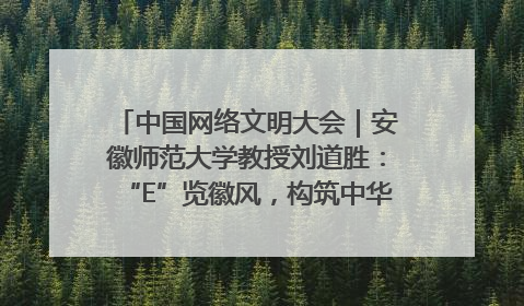 中国网络文明大会｜安徽师范大学教授刘道胜：“E”览徽风，构筑中华民族共有精神家园