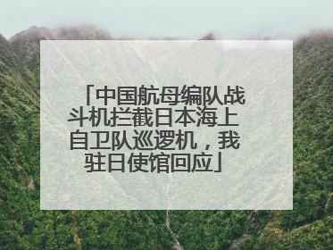 中国航母编队战斗机拦截日本海上自卫队巡逻机，我驻日使馆回应