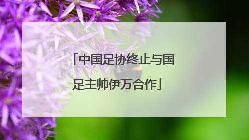 中国足协终止与国足主帅伊万合作