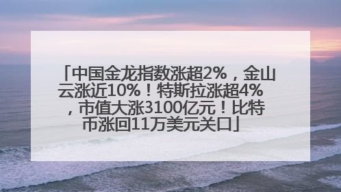 中国金龙指数涨超2%，金山云涨近10%！特斯拉涨超4%，市值大涨3100亿元！比特币涨回11万美元关口