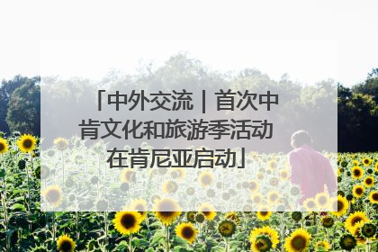 中外交流｜首次中肯文化和旅游季活动在肯尼亚启动