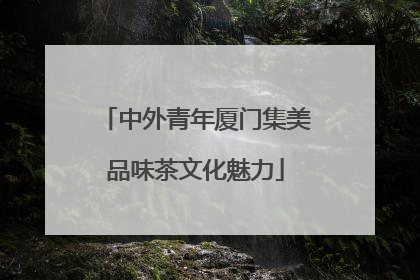 中外青年厦门集美品味茶文化魅力