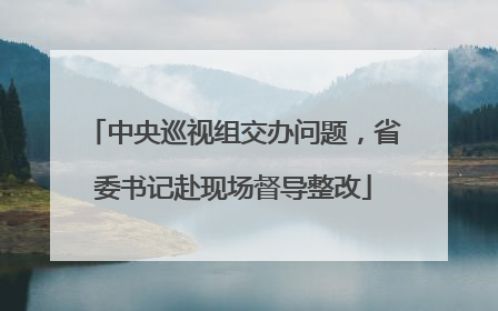 中央巡视组交办问题，省委书记赴现场督导整改