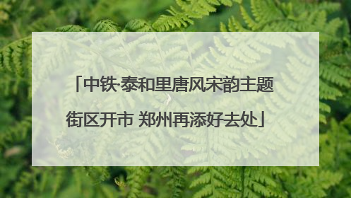 中铁·泰和里唐风宋韵主题街区开市 郑州再添好去处