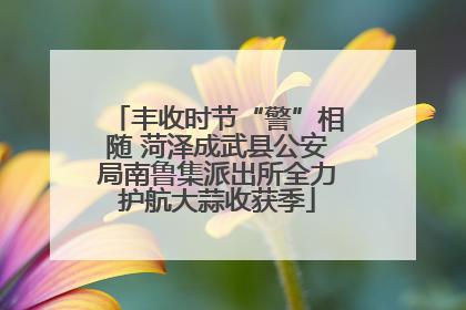 丰收时节“警”相随 菏泽成武县公安局南鲁集派出所全力护航大蒜收获季