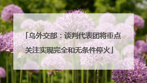 乌外交部：谈判代表团将重点关注实现完全和无条件停火