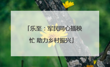 乐至：军民同心插秧忙 助力乡村振兴