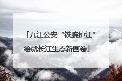 九江公安“铁腕护江”绘就长江生态新画卷
