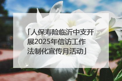 人保寿险临沂中支开展2025年信访工作法制化宣传月活动