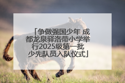 争做强国少年 成都龙泉驿洛带小学举行2025级第一批少先队员入队仪式