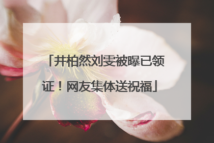 井柏然刘雯被曝已领证！网友集体送祝福