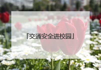 交通安全进校园