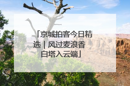 京城拍客今日精选｜风过麦浪香 白塔入云端
