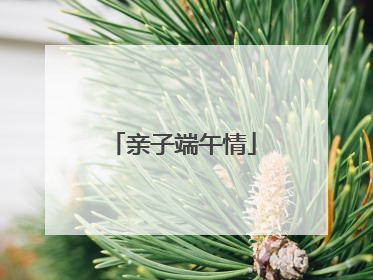 亲子端午情