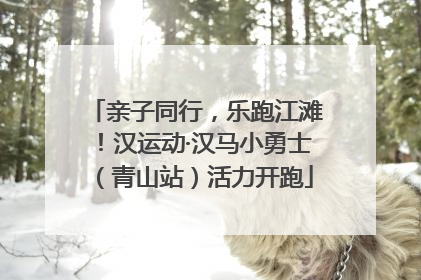 亲子同行，乐跑江滩！汉运动·汉马小勇士（青山站）活力开跑