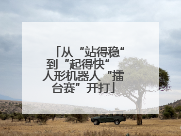 从“站得稳”到“起得快” 人形机器人“擂台赛”开打