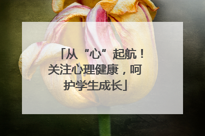 从“心”起航！关注心理健康，呵护学生成长