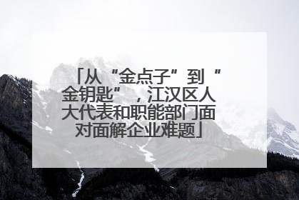 从“金点子”到“金钥匙”，江汉区人大代表和职能部门面对面解企业难题