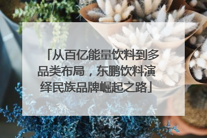 从百亿能量饮料到多品类布局，东鹏饮料演绎民族品牌崛起之路
