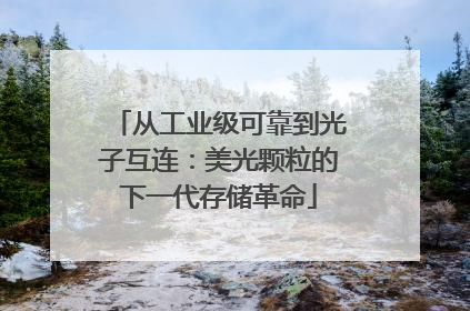从工业级可靠到光子互连：美光颗粒的下一代存储革命