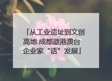 从工业遗址到文创高地 成都邀港澳台企业家“话”发展