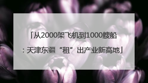 从2000架飞机到1000艘船：天津东疆“租”出产业新高地