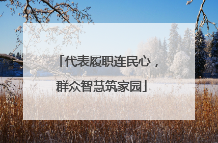 代表履职连民心，群众智慧筑家园